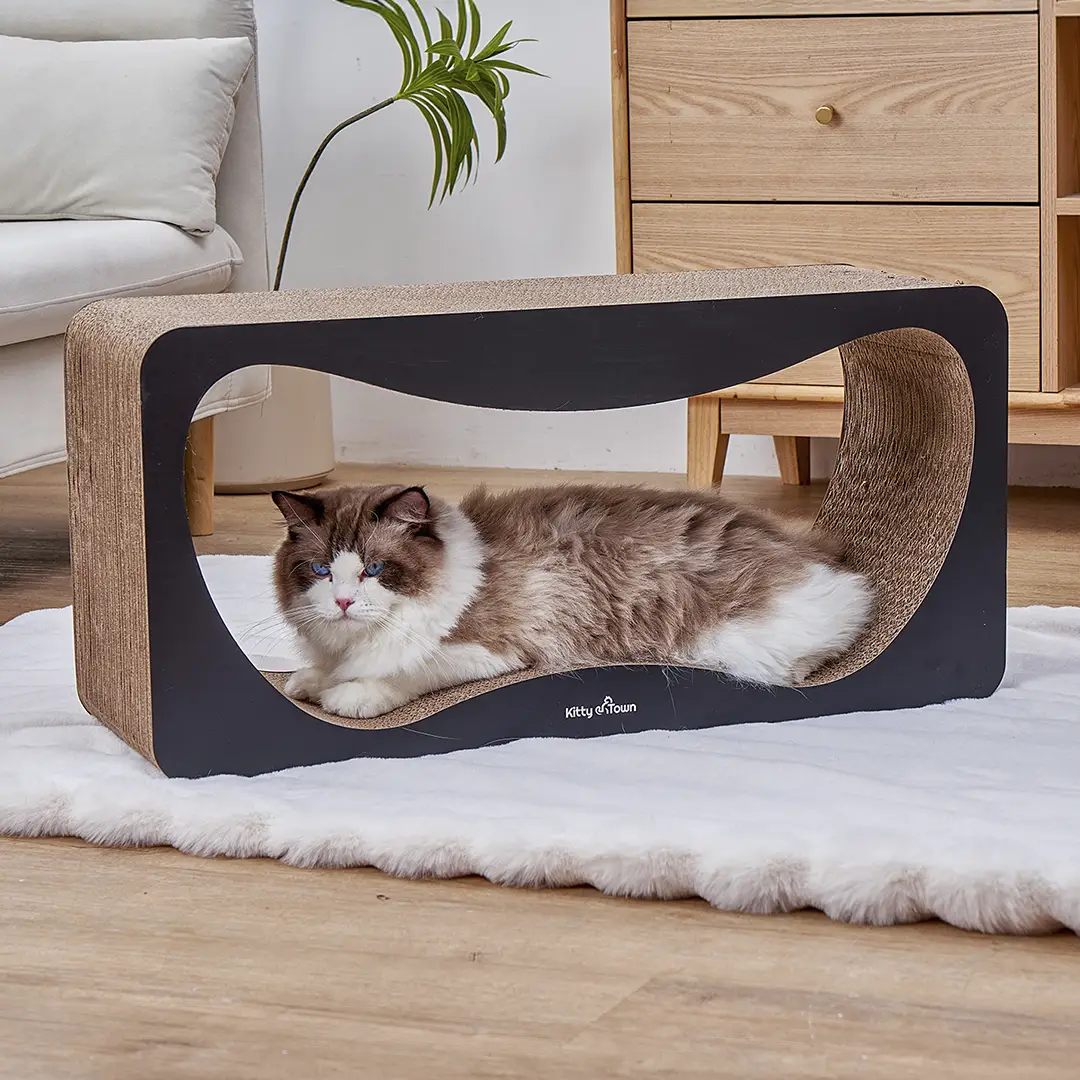 Waarom Katten Krabben